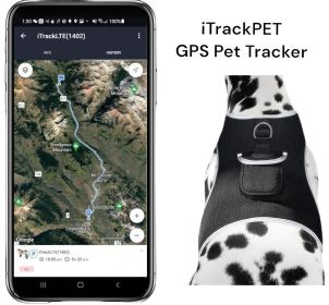 Pet Tracker Waterproof Tracking Device Portable Best Dog GPS Pet Locator Size:L